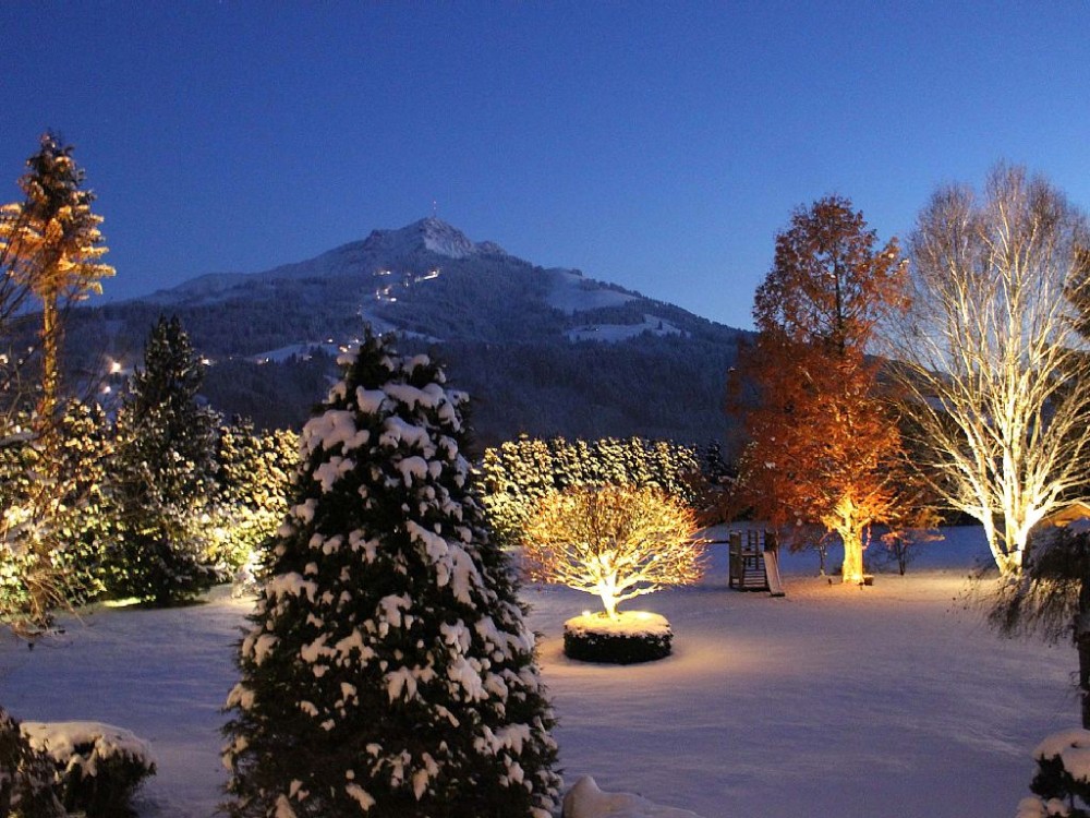 Exclusive-Luxury-Chalet-Villa