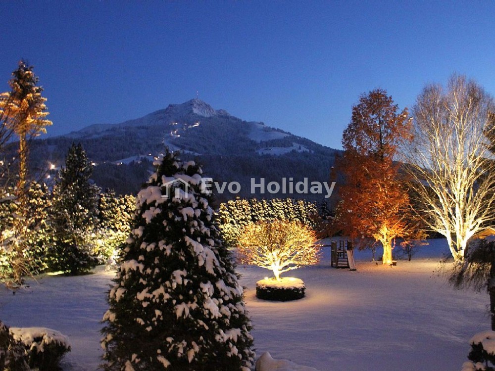 Exclusive-Luxury-Chalet-Villa