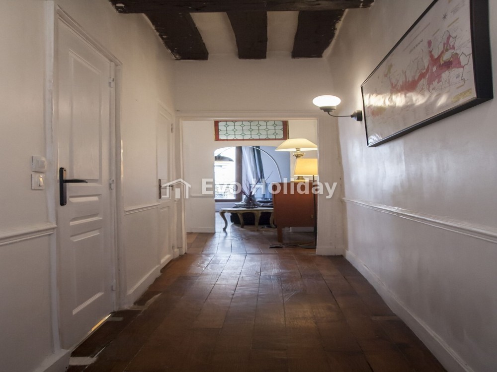 Beautiful apartment in the heart of Paris