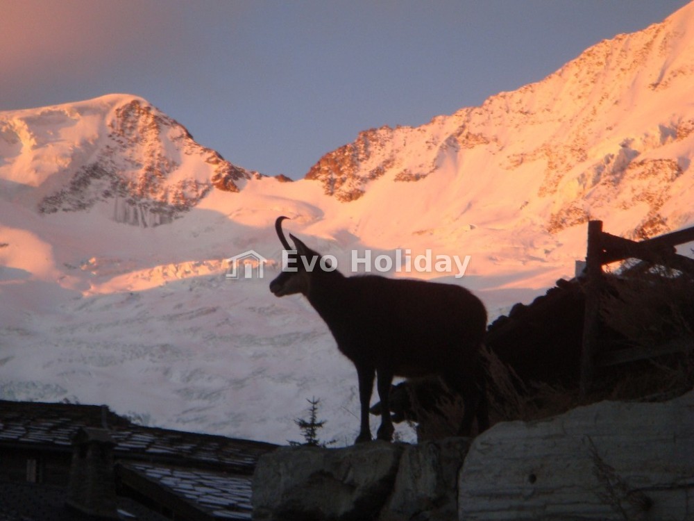 Luxury Chalet! Fantastic Views & Privacy! Sauna & Whirlpool Spa!