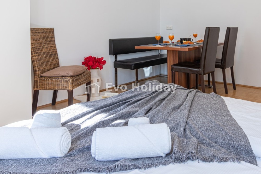 Luxury apartment in Favoriten