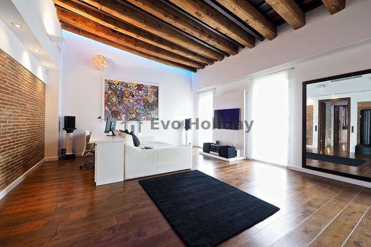 Beautiful penthouse in the center